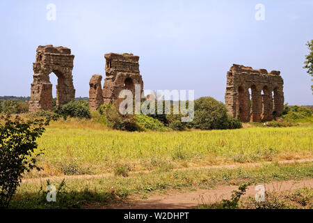 Aquädukt Park; Parco degli Acquedotti; Wasser durch die Schwerkraft bewegt; Appian Way Regional Park; alte römische Ruinen; greenspace; Rom; Italien; Europa; Feder; Stockfoto