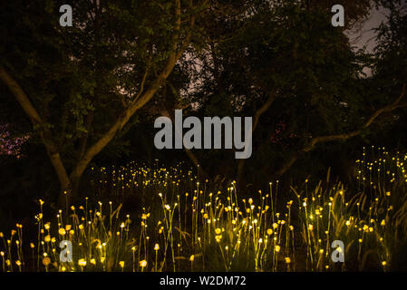 Al Noor Island, Dubai bei Nacht Stockfoto