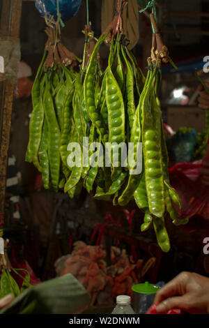 Die petai oder parkia speciosa in traditioneller Markt Stockfoto