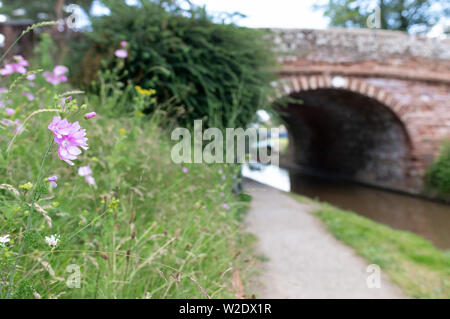 Blick entlang der Shropshire Union Canal in der Nähe von Market Drayton in Shropshire, Großbritannien, darunter auch Bridge 62 und Brücke 63 und der Talbot Wharf und Lastkähne Stockfoto