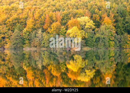 Wald in den Farben des Herbstes reflectig perfekt in einem See Ukleisee Eutin Schleswig-Holstein Norddeutschland Stockfoto