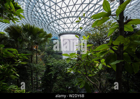 Üppige Ansicht von Jewel Changi Airport, Singapur Stockfoto