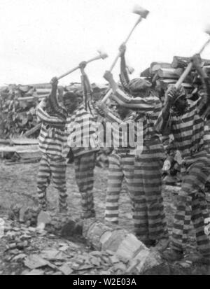 Afrikanische amerikanische Sträflinge arbeiten mit Achsen, Reed Camp, South Carolina Ca. 1934 Stockfoto