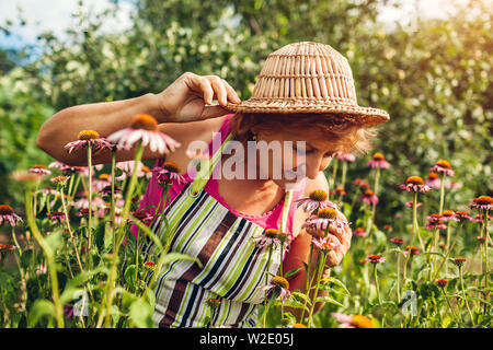 Ältere Frau sammeln von Blumen im Garten. Frau mittleren Alters riechen Echinacea oder coneflower. Gartenarbeit Konzept Stockfoto