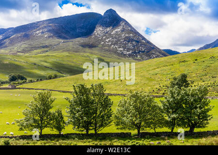 North Glen Sannox mit Blick auf Caisteal Caillich Ceum Abhail, na wie die Hexen Schritt bekannt,Arran, Isle of Arran, Schottland, Großbritannien Stockfoto