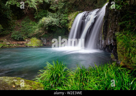 Wasserfall im grünen Dschungel umgeben von Pflanzen, Izu Halbinsel, Japan Stockfoto