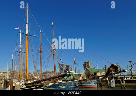 Rotterdam Zuid Holland/Niederlande - Februar 16, 2008: historische Segelschiffe im Hafen an veerhaven in scheepvaartkwartier (Quartal) adjace Stockfoto