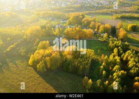 Luftbild von Oben nach Unten Blick auf Herbst Wald mit grünen und gelben Bäume. Gemischten Laub- und Nadelwald. Schönen Herbst Landschaft in Vilnius City, Lith Stockfoto