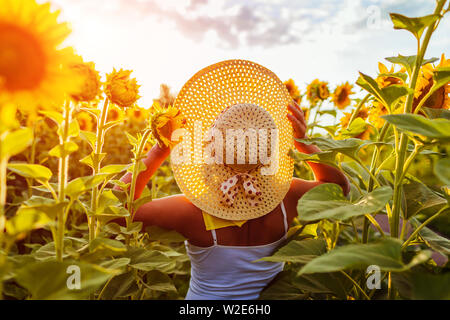 Ältere Frau wandern in blühenden Sonnenblumen Feld Holding hat und bewundern. Sommer Urlaub Stockfoto