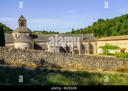 Romanische Abbaye Notre-Dame de Sénanque in der Nähe von Gordes, Provence, Frankreich. Stockfoto