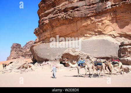 Beduinen in traditioneller Kleidung mit Wohnwagen der Kamele Dromedare Wüste im Wadi Rum, Jordanien, Naher Osten Stockfoto