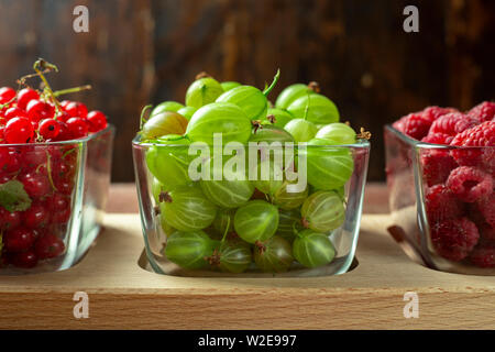 Verschiedene Sommer Beeren rote Johannisbeeren, Stachelbeeren, Himbeeren in Glas Fächer. nach Typ sortiert. superfoods aus dem Garten Stockfoto