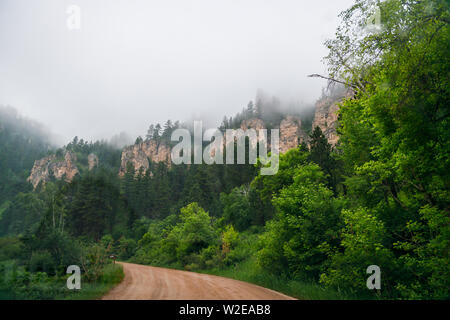 Nebel fahren Sie entlang der Spearfish Canyon Scenic Byway in Black Hills National Forest in South Dakota Stockfoto