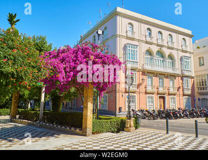 Cadiz, Spanien - Juni 22., 2019. Jardines de Alameda Apodaca Gärten im Alameda Apodaca Grove. Cadiz, Andalusien, Spanien. Stockfoto