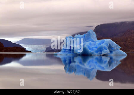 Eisberge im Lago Grey in den Torres del Paine Nationalpark, im chilenischen Patagonien Stockfoto