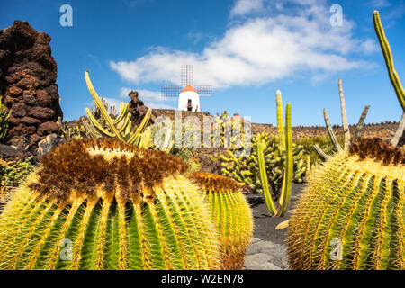 Tropischen Kaktusgarten in Guatiza Dorf, Lanzarote, Kanarische Inseln, Spanien
