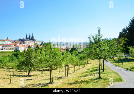 Atemberaubende Aussicht auf Prag, Tschechische Republik fotografiert von der Petrin Hügel mit angrenzenden Park. Die Dominante der tschechischen Hauptstadt ist berühmt der Prager Burg und der St. Veits Kathedrale. Erstaunliche Städte. Stockfoto