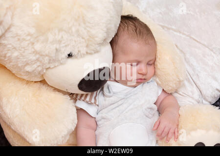 Friedliche Neugeborene schlafen mit riesigen Flauschigen Teddybär Stockfoto