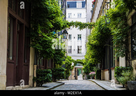 Pariser Straße mit grünen Reben auf den Mauern der Wohnhäuser in Illes Bezirk von Paris, Frankreich. Stockfoto