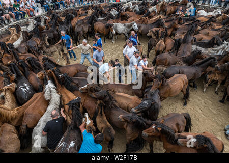 Rapa das Bestas, Sabucedo, galica Spanien Stockfoto