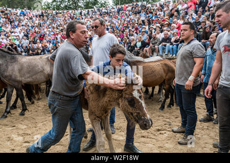 Rapa das Bestas, Sabucedo, galica Spanien Stockfoto