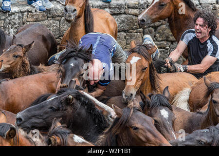 Rapa das Bestas, Sabucedo, galica Spanien Stockfoto