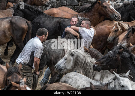 Rapa das Bestas, Sabucedo, galica Spanien Stockfoto