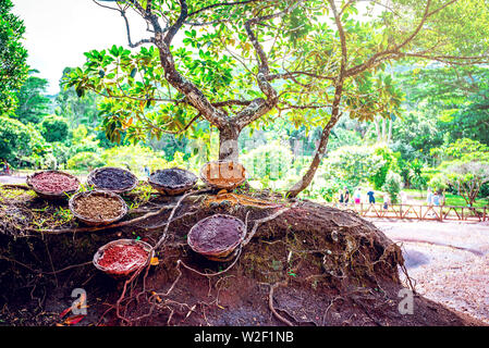 Sieben farbige Erde Wunder in Chamarel Region tropische Insel Mauritius. Getönten Bild. Stockfoto