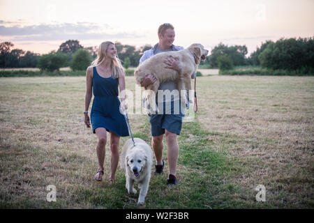 Junge kaukasier Paar und die Hunde durch das Feld im Sommer Stockfoto