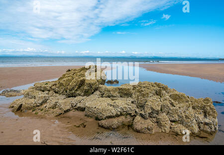 Gullane Strand an einem sonnigen Tag Sommer mit Rock im Bewuchs bedeckt, die von Forth, East Lothian, Schottland, Großbritannien Stockfoto