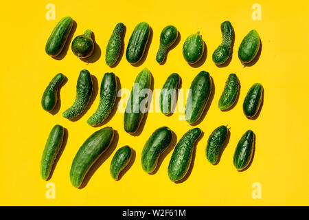 Verschiedenen Größen formen Gurken Muster auf einem gelben Hintergrund. Kopieren Sie Platz. Gurken Hintergrund close-up. Ansicht von oben. Gurke Ernte. Gurken Stockfoto