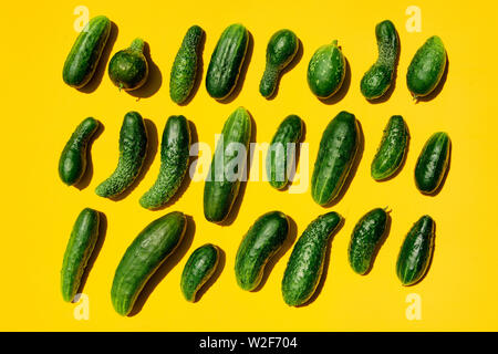 Verschiedenen Größen formen Gurken Muster auf einem gelben Hintergrund. Kopieren Sie Platz. Gurken Hintergrund close-up. Ansicht von oben. Gurke Ernte. Gurken Stockfoto