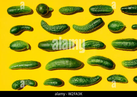 Verschiedenen Größen formen Gurken Muster auf einem gelben Hintergrund. Kopieren Sie Platz. Gurken Hintergrund close-up. Ansicht von oben. Gurke Ernte. Gurken Stockfoto