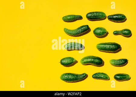 Verschiedenen Größen formen Gurken Muster auf einem gelben Hintergrund. Kopieren Sie Platz. Gurken Hintergrund close-up. Ansicht von oben. Gurke Ernte. Gurken Stockfoto