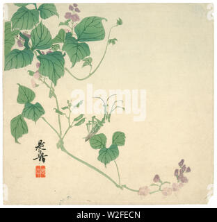 Antike japanische Holzschnitt von Shibata Zeshin. Shibata Zeshin (1807-1891) war ein japanischer Lack, Maler und Künstler der späten Edo-zeit und frühen Meiji ära. Quelle: ORIGINAL DRUCKEN. Stockfoto