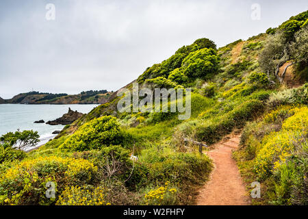 Wanderweg am Pazifischen Ozean Küste; neblig; Marin Headlands, San Francisco Bay Area, Kalifornien Stockfoto