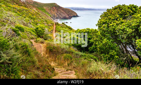 Wanderweg am Pazifischen Ozean Küste; neblig; Marin Headlands, San Francisco Bay Area, Kalifornien Stockfoto