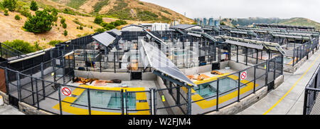 Juli 4, 2019 Sausalito/CA/USA - die Marine Mammal Center in Marin Headlands im Norden der Bucht von San Francisco, das Zentrum ist die Rettung, die Sanierung Stockfoto