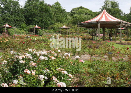 Frau und Kind umgeben von Rosen in einem Rosengarten in Dixon Road, Belfast, wo die Stadt Belfast International Rose zeigen jedes Jahr im Juli stattfindet. Stockfoto