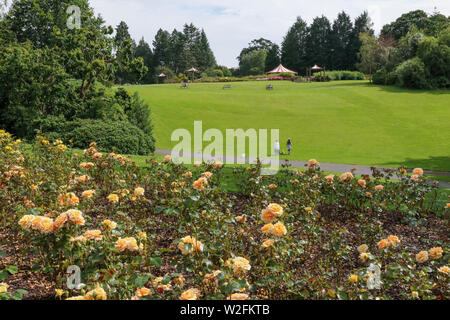 Blick auf den Rosengarten im Sir Thomas und Lady Dixon Park in Belfast, die mit den Menschen auf einem grasbewachsenen Green Bank in einem der öffentlichen Belfaster Parks. Stockfoto