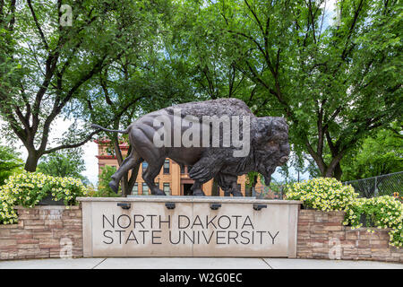 FARGO, ND/USA - Juni 27, 2019: Bison Statue auf dem Campus der North Dakota State University. Stockfoto