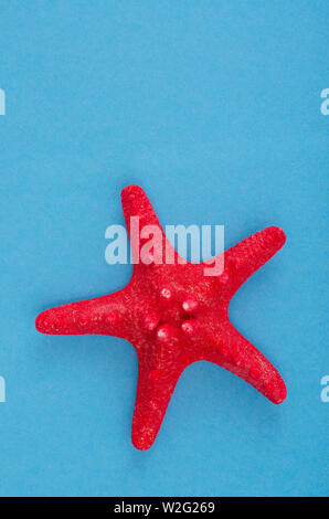 Getrocknete rote Seesterne auf Blau. Foto Stockfoto