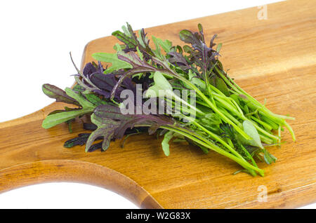 Junge Triebe Mischung von Salaten. Stockfoto