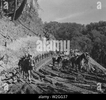 Die amerikanischen Truppen von Merrill's Marauders und der Chinesischen März Seite an Seite durch die ledo Road 2/15/1944 Stockfoto