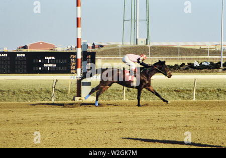 Rennpferde laufen an Penn National Horse Race Track in Grantsville in Pennsylvania Ca. 1978 Stockfoto