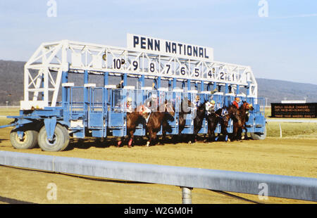 Rennpferde laufen an Penn National Horse Race Track in Grantsville in Pennsylvania Ca. 1978 Stockfoto