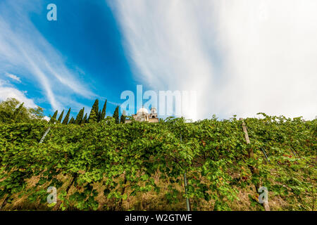 Italien Venetien Azienda Vinicola - Valdobbiadene - Ernte - Dobladino Wein Stockfoto