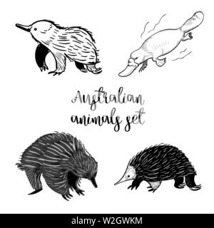 Tiere von Australien Satz von sketshes. Echidna, platipus Doodle auf weißem Hintergrund. Jahrgang. Vektor. Schwarz und Weiß Stock Vektor