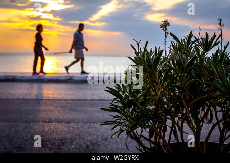 Blick auf Blumentopf mit ornamentalen Blumen. Die Menschen sind zu Fuß auf dem Gehweg vor öffentlichen Strand. Stockfoto