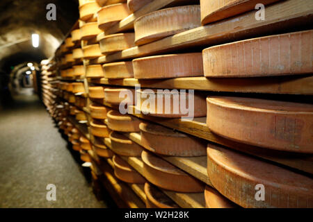 Handwerkliche Beaufort Käse in der Veredelung in einem traditionellen Weinkeller. Rognaix. Frankreich. Stockfoto